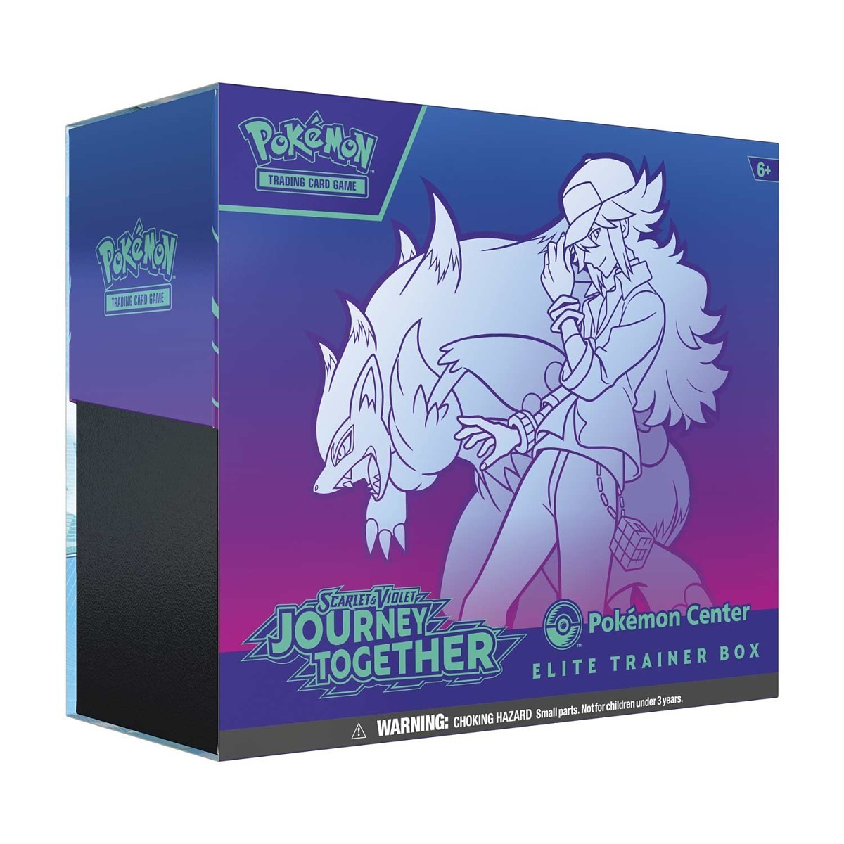 Pokémon: Journey Together